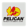 Pelican